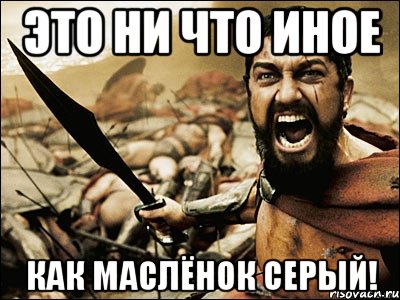 Это ни что иное Как маслёнок серый!, Мем Это Спарта