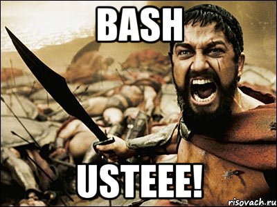 Bash Usteee!, Мем Это Спарта