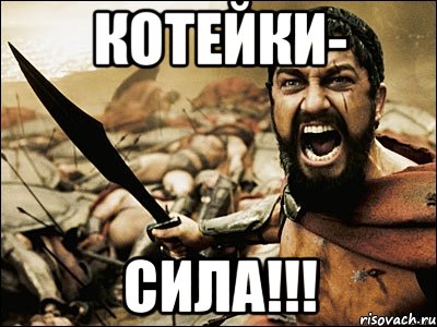 КОтейки- Сила!!!, Мем Это Спарта