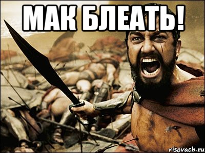 МАК БЛЕАТЬ! , Мем Это Спарта