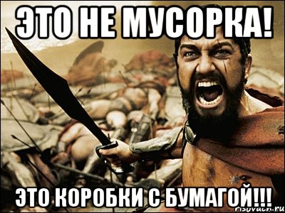 ЭТО НЕ МУСОРКА! ЭТО КОРОБКИ С БУМАГОЙ!!!, Мем Это Спарта