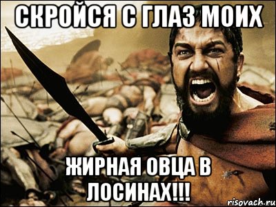 Скройся с глаз моих жирная овца в лосинах!!!, Мем Это Спарта