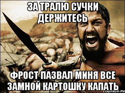 за тралю сучки держитесь Фрост пазвал миня все замной картошку капать, Мем Это Спарта