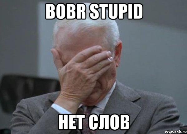 Bobr Stupid Нет слов