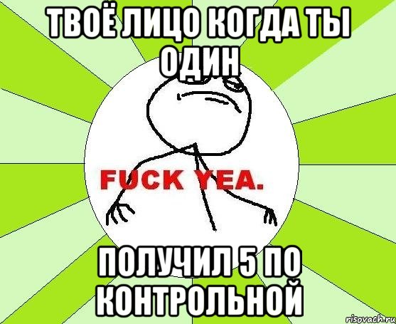 Твоё лицо когда ты один Получил 5 по контрольной, Мем фак е