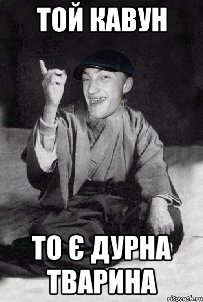 той КАВУН то є ДУРНА тварина