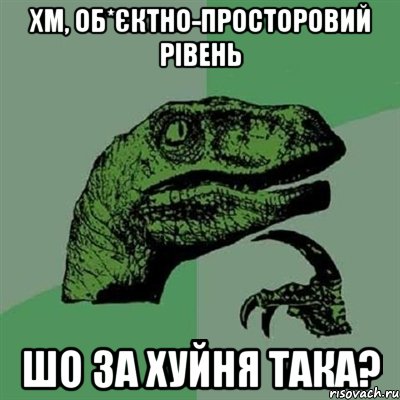 хм, об*єктно-просторовий рівень шо за хуйня така?, Мем Филосораптор