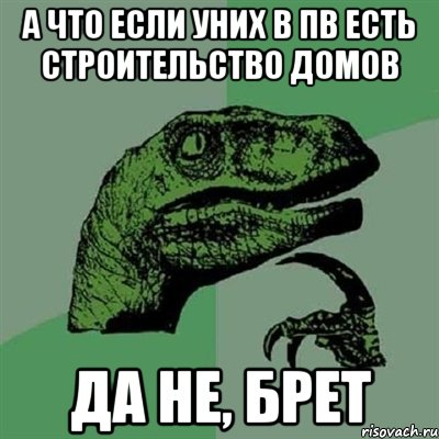 А что если уних в ПВ есть строительство домов Да не, брет, Мем Филосораптор