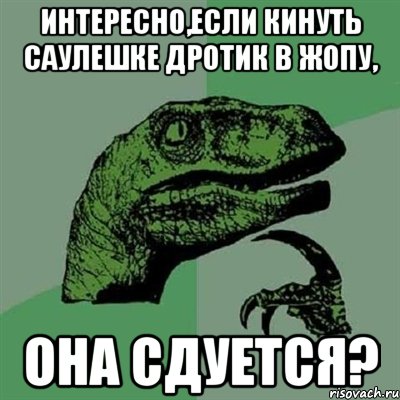 Интересно,если кинуть Саулешке дротик в жопу, ОНА СДУЕТСЯ?, Мем Филосораптор