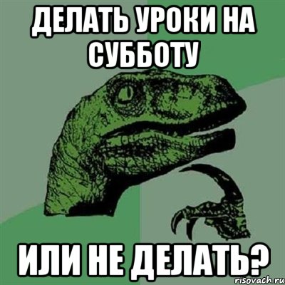 делать уроки на субботу или не делать?, Мем Филосораптор