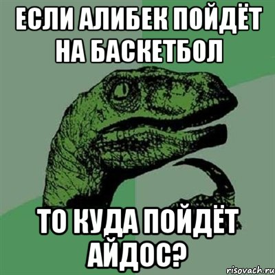 Если Алибек пойдёт на баскетбол То куда пойдёт Айдос?, Мем Филосораптор