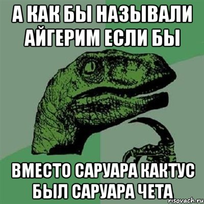 А как бы называли Айгерим если бы Вместо саруара кактус был саруара чета, Мем Филосораптор