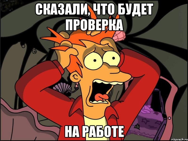 Сказали, что будет проверка на работе, Мем Фрай в панике