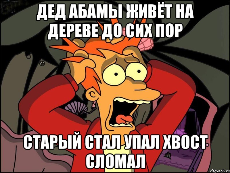 Дед абамы живёт на дереве до сих пор Старый стал упал хвост сломал, Мем Фрай в панике