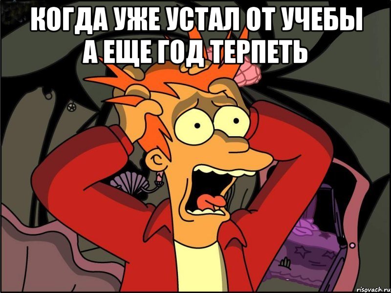 Когда уже устал от учебы а еще год терпеть , Мем Фрай в панике