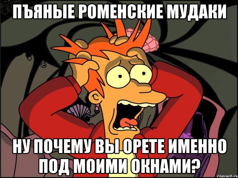 пъяные роменские мудаки ну почему вы орете именно под моими окнами?, Мем Фрай в панике