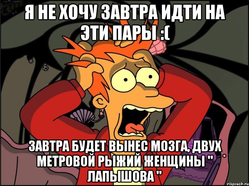 Я не хочу завтра идти на эти пары :( Завтра будет вынес мозга, двух метровой рыжий женщины " Лапышова ", Мем Фрай в панике