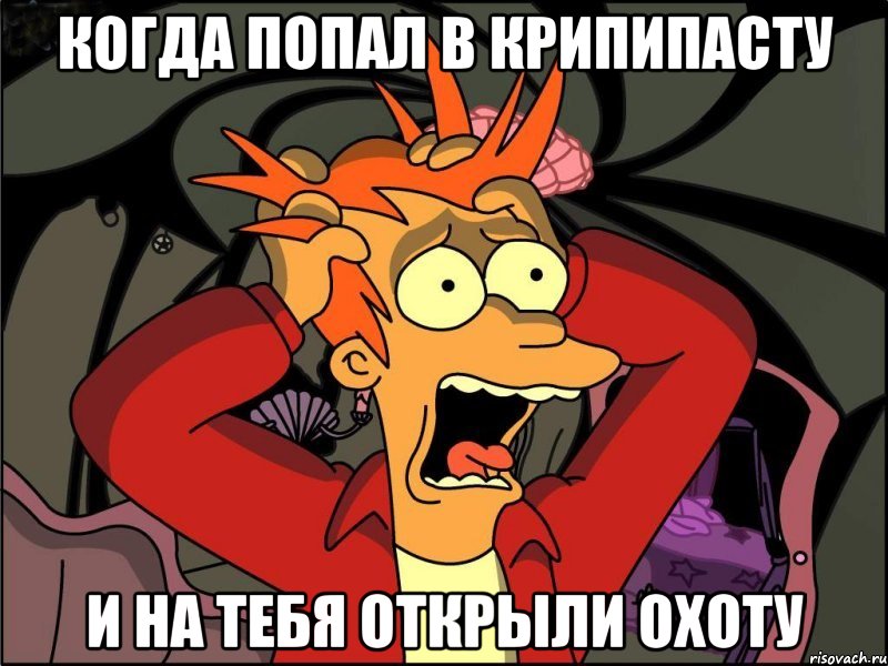 КОГДА ПОПАЛ В КРИПИПАСТУ И НА ТЕБЯ ОТКРЫЛИ ОХОТУ, Мем Фрай в панике