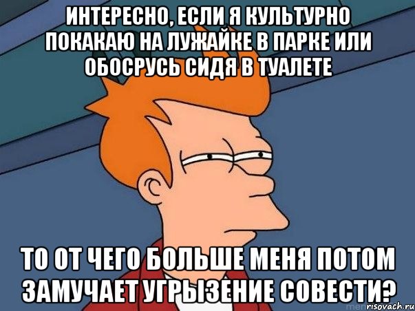 интересно, если я культурно покакаю на лужайке в парке или обосрусь сидя в туалете то от чего больше меня потом замучает угрызение совести?, Мем  Фрай (мне кажется или)