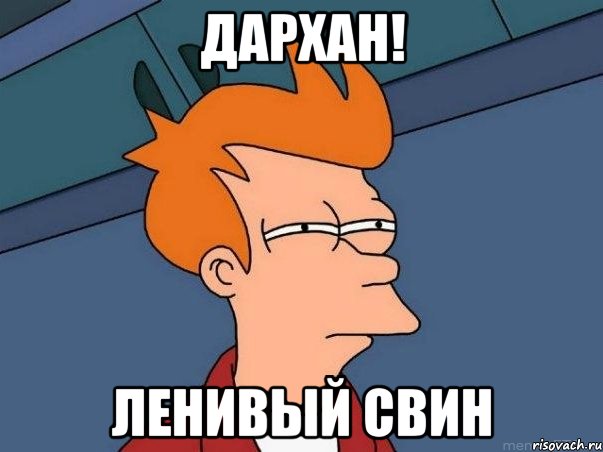 Дархан! Ленивый свин, Мем  Фрай (мне кажется или)