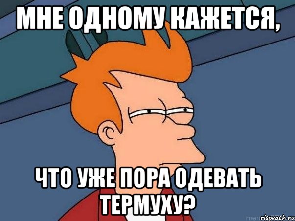 мне одному кажется, что уже пора одевать термуху?, Мем  Фрай (мне кажется или)