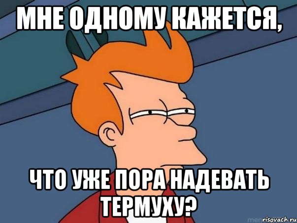 мне одному кажется, что уже пора надевать термуху?, Мем  Фрай (мне кажется или)