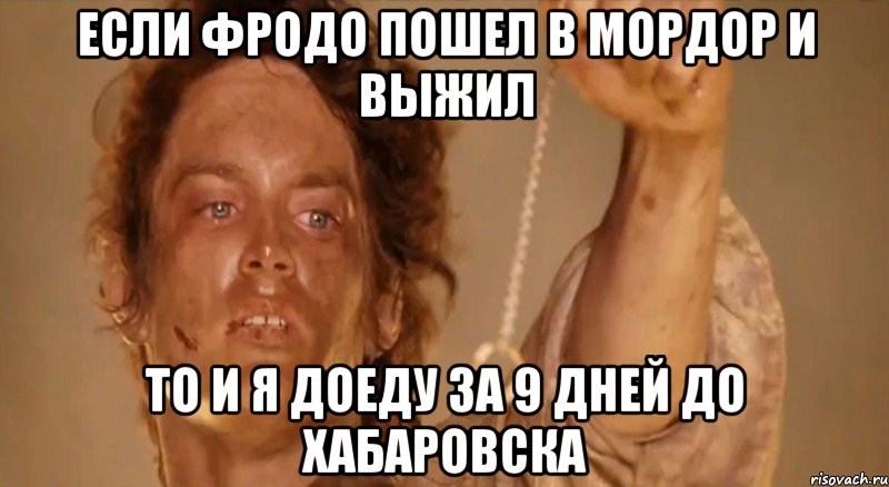 Если Фродо пошел в мордор и выжил то и я доеду за 9 дней до хабаровска, Мем фродо и кольцо