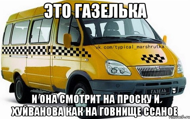 Это Газелька И она смотрит на Проску и Хуйванова как на говнище ссаное