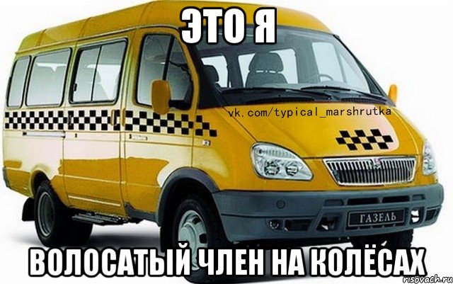 ЭТО Я ВОЛОСАТЫЙ ЧЛЕН НА КОЛЁСАХ