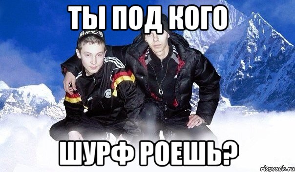 Ты под кого Шурф роешь?