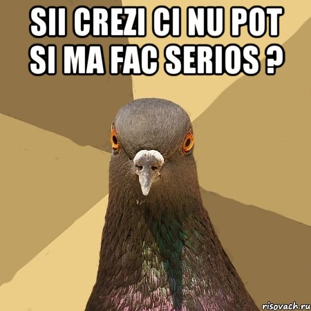 sii crezi ci nu pot si ma fac serios ? , Мем голубь