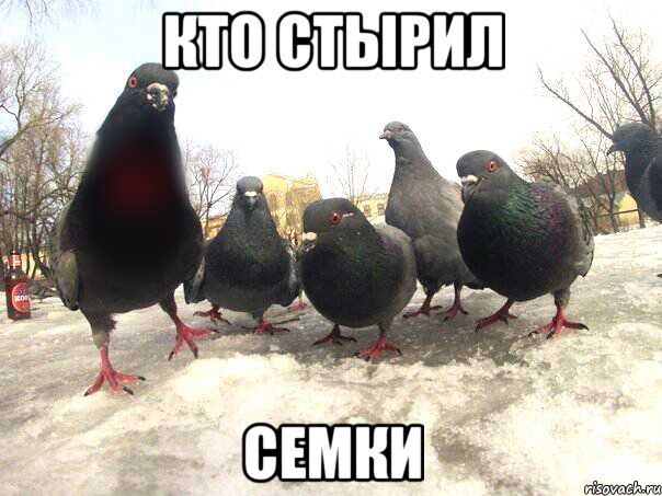 Кто стырил Семки