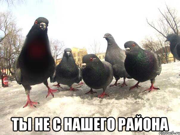  Ты не с нашего района