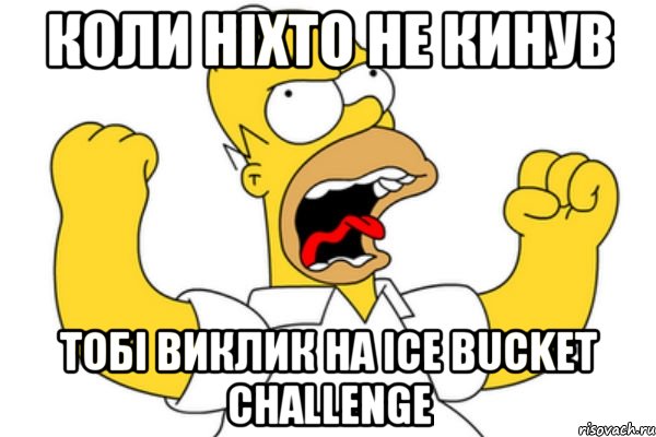 Коли ніхто не кинув Тобі виклик на Ісе Bucket Challenge, Мем Разъяренный Гомер