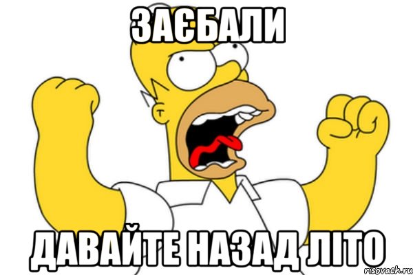 Заєбали Давайте назад літо, Мем Разъяренный Гомер