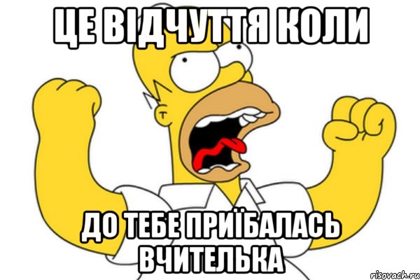 Це відчуття коли До тебе приїбалась вчителька, Мем Разъяренный Гомер