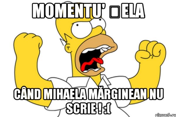 Momentu' șela când Mihaela Mărginean nu scrie ! :(, Мем Разъяренный Гомер