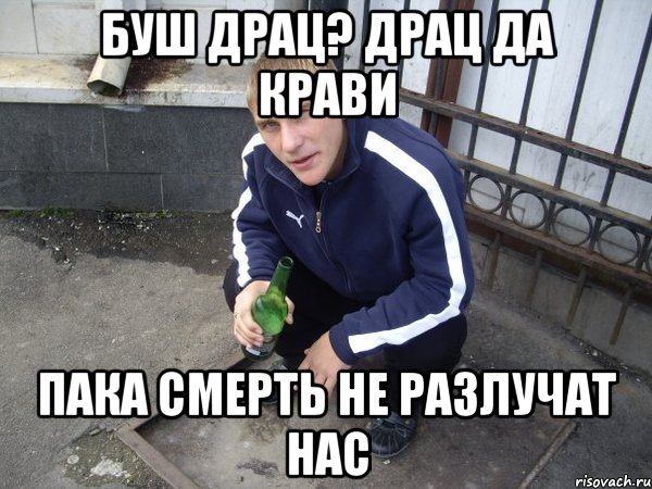 Буш драц? Драц да крави Пака смерть не разлучат нас