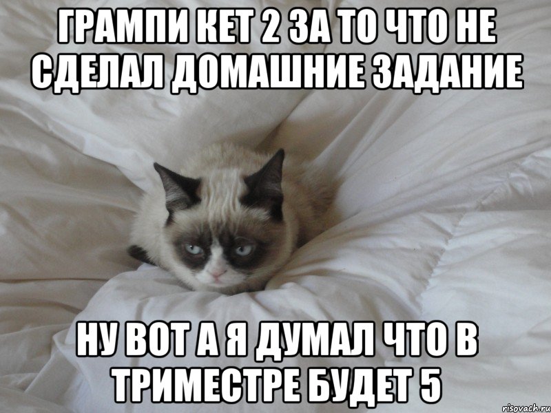 Грампи кет 2 за то что не сделал домашние задание Ну вот а я думал что в триместре будет 5