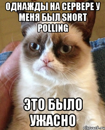 Однажды на сервере у меня был short polling Это было ужасно, Мем Grumpy Cat small