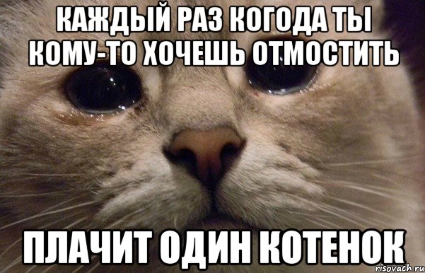 каждый раз когода ты кому-то хочешь отмостить плачит один котенок, Мем   В мире грустит один котик