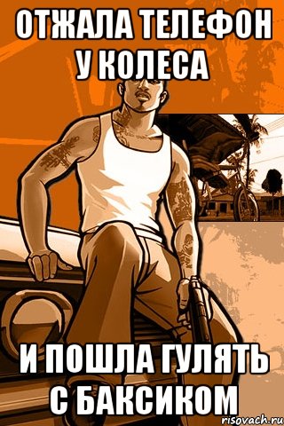 отжала телефон у колеса и пошла гулять с баксиком, Мем GTA