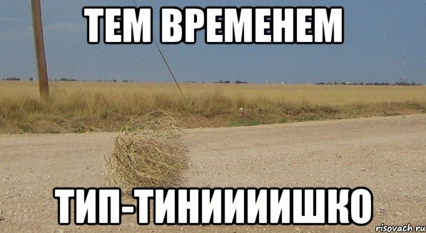 Тем временем тип-тиниииишко, Мем gthtrfnbgjkt