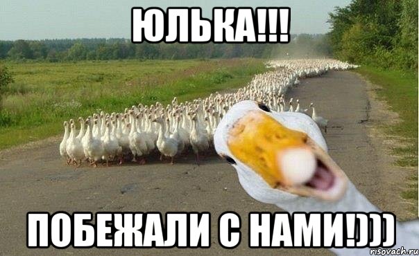ЮЛЬКА!!! ПОБЕЖАЛИ С НАМИ!))), Мем гуси