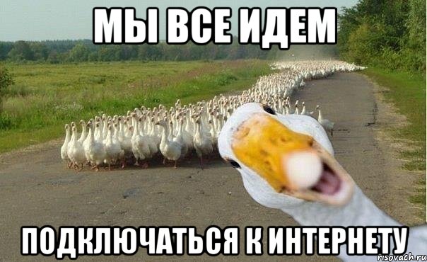 мы все идем подключаться к интернету, Мем гуси