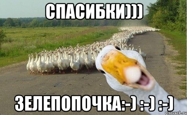 Спасибки))) Зелепопочка:-) :-) :-), Мем гуси