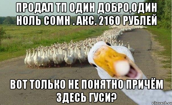 Продал ТП один добро,один ноль сомн . Акс. 2160 рублей Вот только не понятно причём здесь гуси?, Мем гуси