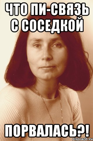 Что пи-связь с соседкой порвалась?!, Мем химичка
