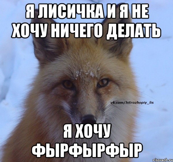 я лисичка и я не хочу ничего делать я хочу фырфырфыр