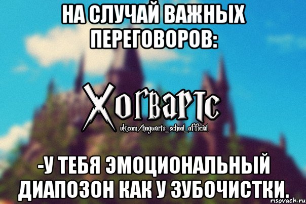 На случай важных переговоров: -У тебя эмоциональный диапозон как у зубочистки., Мем Хогвартс